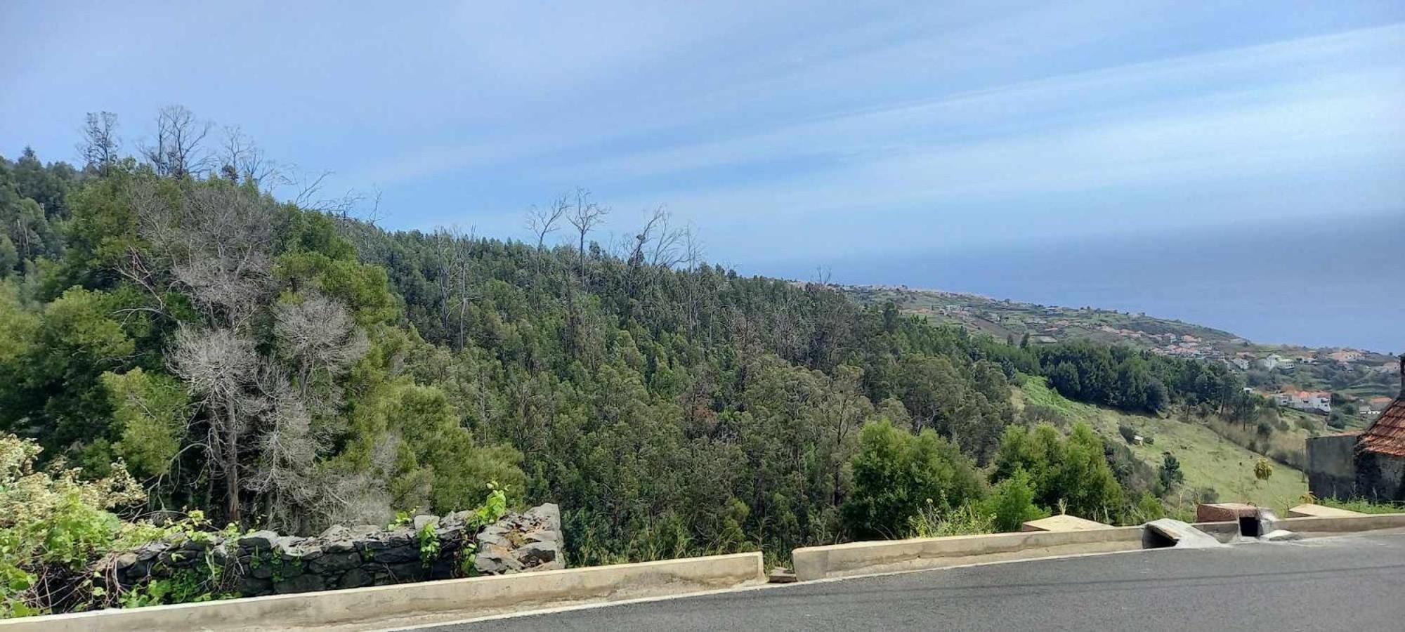 Casa Monte De Paz Calheta  Dış mekan fotoğraf